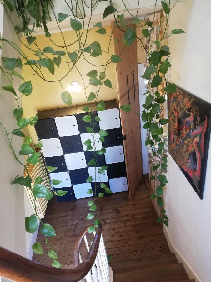 La Chambre D'Hote De Chris 瑟堡 外观 照片